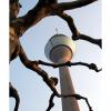 FernsehturmDDorf