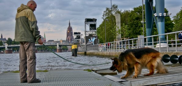 Frankfurt3