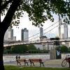 Frankfurt6