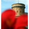 Turm2