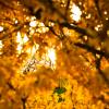 Sonne und Durchblick