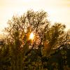 img_9731